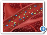 Metaformin(LiverPortal)